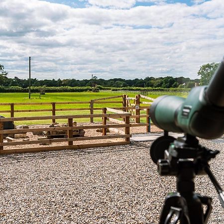 Brecks Farm - Cow Kennels Villa York Dış mekan fotoğraf